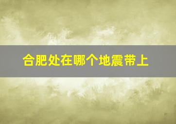 合肥处在哪个地震带上