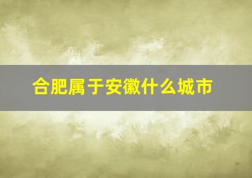 合肥属于安徽什么城市