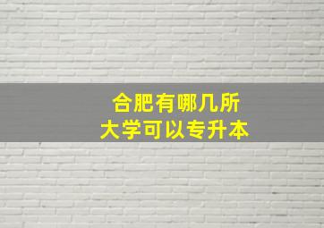 合肥有哪几所大学可以专升本