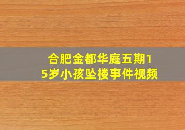 合肥金都华庭五期15岁小孩坠楼事件视频