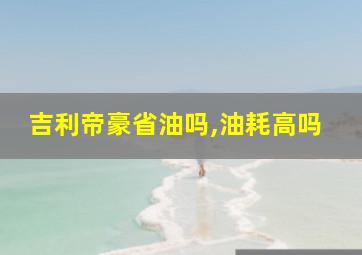 吉利帝豪省油吗,油耗高吗