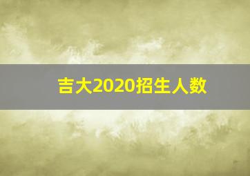 吉大2020招生人数