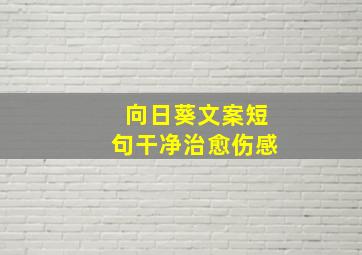 向日葵文案短句干净治愈伤感