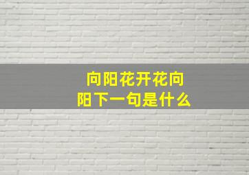 向阳花开花向阳下一句是什么