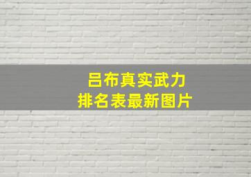 吕布真实武力排名表最新图片