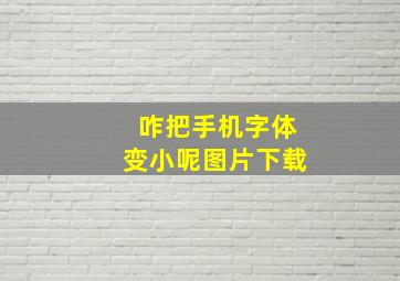 咋把手机字体变小呢图片下载