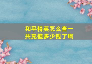 和平精英怎么查一共充值多少钱了啊