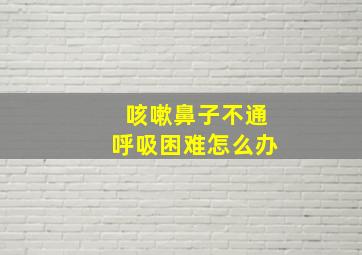 咳嗽鼻子不通呼吸困难怎么办