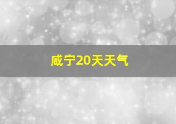 咸宁20天天气