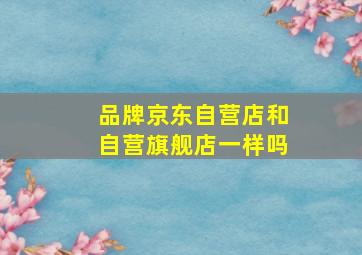 品牌京东自营店和自营旗舰店一样吗