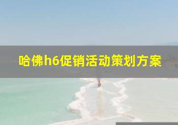 哈佛h6促销活动策划方案