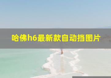 哈佛h6最新款自动挡图片