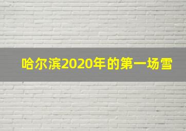 哈尔滨2020年的第一场雪