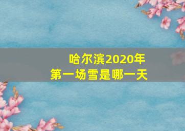 哈尔滨2020年第一场雪是哪一天