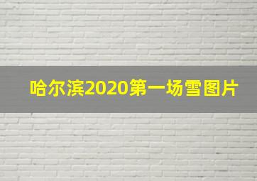 哈尔滨2020第一场雪图片