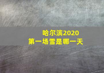 哈尔滨2020第一场雪是哪一天