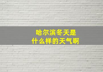 哈尔滨冬天是什么样的天气啊