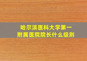 哈尔滨医科大学第一附属医院院长什么级别