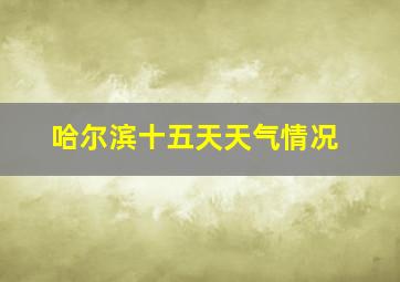 哈尔滨十五天天气情况