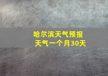 哈尔滨天气预报天气一个月30天