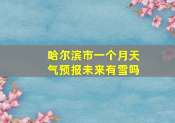 哈尔滨市一个月天气预报未来有雪吗