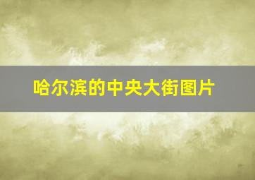 哈尔滨的中央大街图片