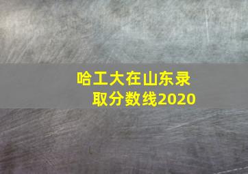 哈工大在山东录取分数线2020