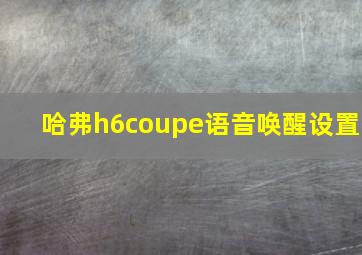 哈弗h6coupe语音唤醒设置