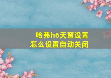 哈弗h6天窗设置怎么设置自动关闭