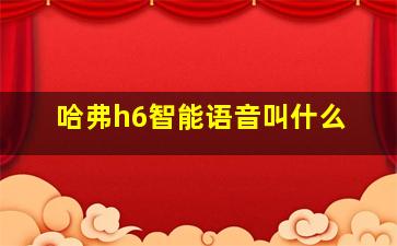 哈弗h6智能语音叫什么