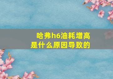 哈弗h6油耗增高是什么原因导致的