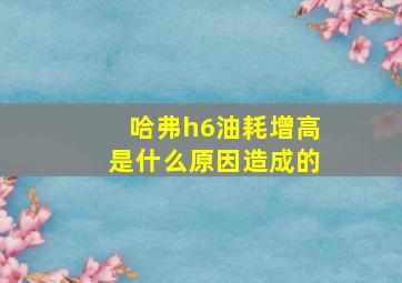 哈弗h6油耗增高是什么原因造成的