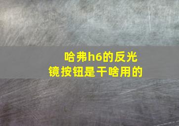 哈弗h6的反光镜按钮是干啥用的