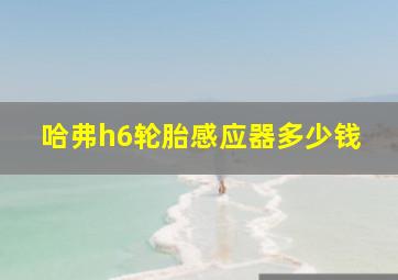 哈弗h6轮胎感应器多少钱