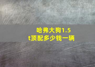 哈弗大狗1.5t顶配多少钱一辆