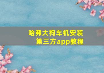 哈弗大狗车机安装第三方app教程