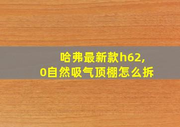 哈弗最新款h62,0自然吸气顶棚怎么拆