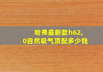 哈弗最新款h62,0自然吸气顶配多少钱