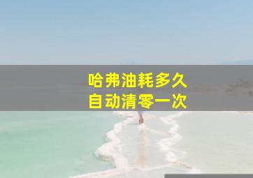 哈弗油耗多久自动清零一次