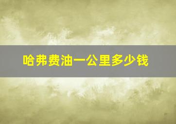 哈弗费油一公里多少钱