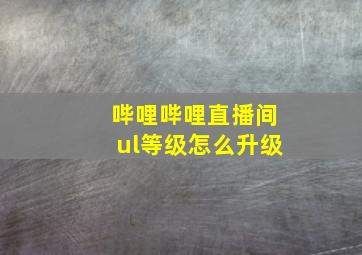 哔哩哔哩直播间ul等级怎么升级