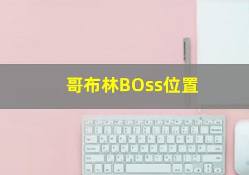 哥布林BOss位置