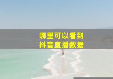 哪里可以看到抖音直播数据