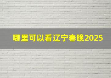 哪里可以看辽宁春晚2025