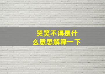 哭笑不得是什么意思解释一下