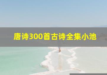 唐诗300首古诗全集小池