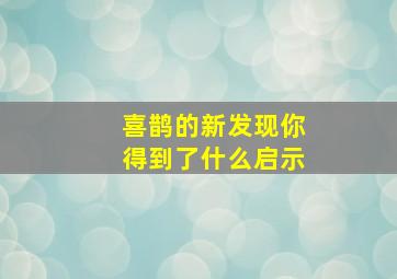 喜鹊的新发现你得到了什么启示