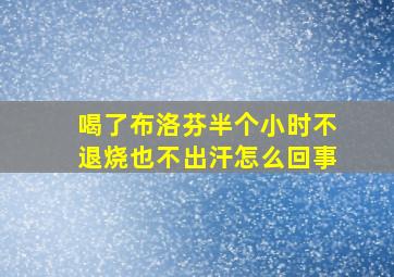 喝了布洛芬半个小时不退烧也不出汗怎么回事