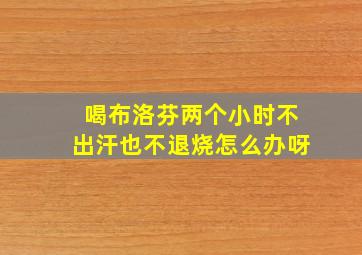 喝布洛芬两个小时不出汗也不退烧怎么办呀