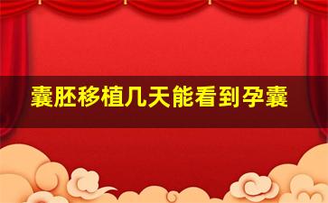 囊胚移植几天能看到孕囊